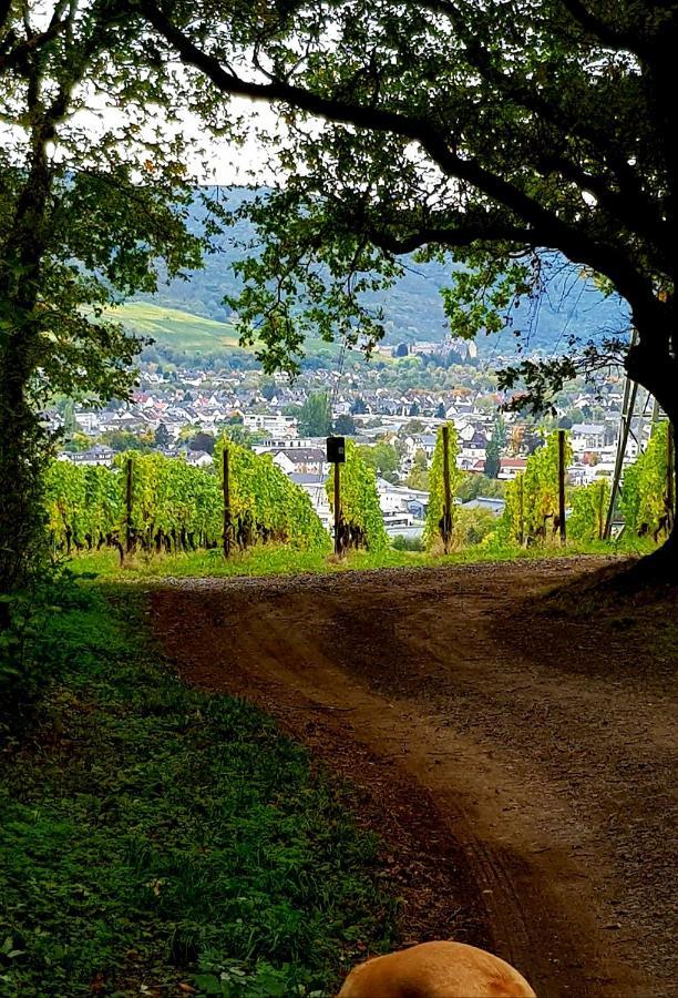 Ahrweiler Seelchen Bad Neuenahr-Ahrweiler Kültér fotó